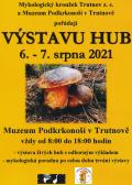 výstava