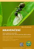 Mravenčení