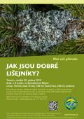 exkurze