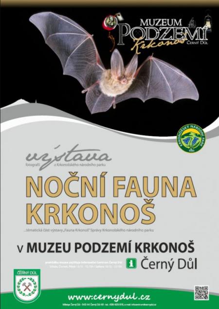 Muzeum Podzemí Černý Důl - výstava Noční fauna krkonoš